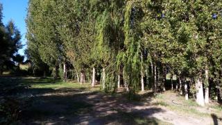 Cabaña de campo Secretos de la Naturaleza - San Juan - 1