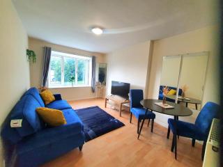 3 Beds Apt - Leeds City Centre & LGI - Contact for better offers! - Leeds - 0