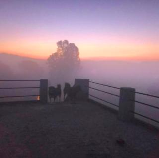 Jim Corbett Home stay - 5