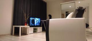 City Center Apartment 45m, 1 Bedroom and 1 Living Room with Kitchen plus Bathroom, a perfect Family Friendly Place or for Home Office and a longer Stay, a proper office desk with business chair provided, 100m from Market Square and Vistula River - Grudziądz - 1