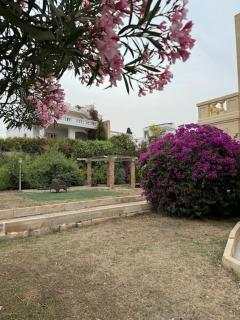 Villa Xiwan - Is-Swieqi - 9