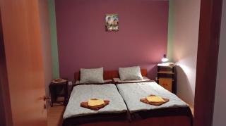 Hostel Flores - Kostanjevac - 7