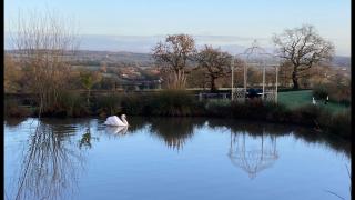 Owls Retreat, Meadowview House - Stoke on Trent - 5