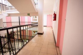 Hotel Tropicus Boutique - 4