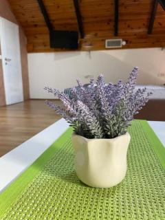 Achillius apartmani Arilje - Arilje - 6