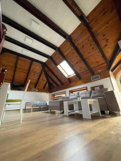 Achillius apartmani Arilje - Arilje - 5