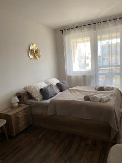 Montana Apartman - Miskolc - 9