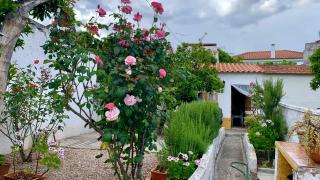 Casa da Tia Julia - Aviz - 6