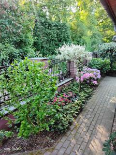 Ferienwohnung Schröder - Putbus - 5