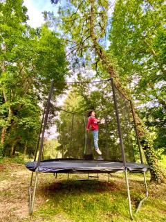 La Dependance de la Villa des Oiseaux - La Petite Pierre - 4