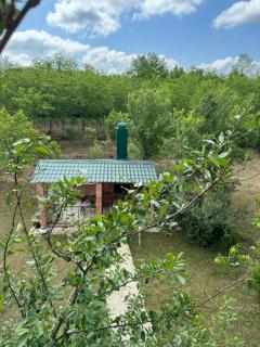 Guesthouse SANIKO - Martvili - 7