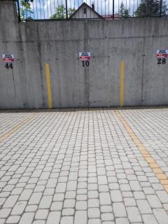 Apartament 10 z ogrodem - 2