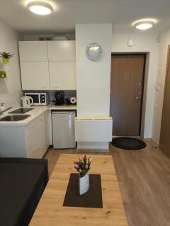 2 kambarių apartamentai - Palanga - 0