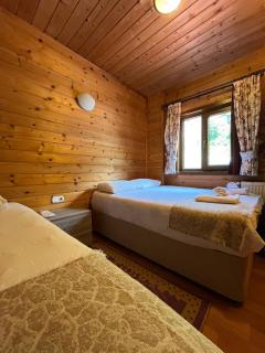 Ayder Paradise Otel - Ayder Yaylasi - 2