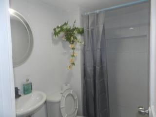 la Ola de la Vida con AA WIFI - 6