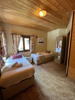 Ayder Paradise Otel - Ayder Yaylasi - 5