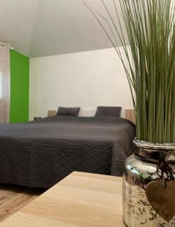 Apartmány IVETA - Podhájska - 4