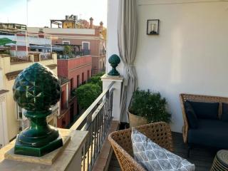 Exclusiva casa con terraza - Seville - 1