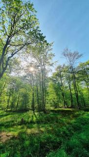 Gite de la Verrière, 12 personnes, 5 chambres - 2