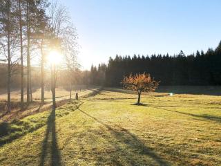 8 person holiday home in DALS-LÅNGED-By Traum - 3