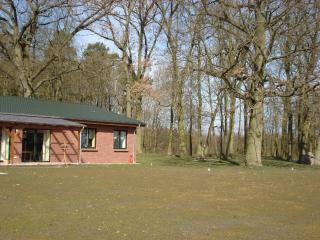 Wohnung in Zarnewanz nahe Ostsee - Zarnewanz - 5