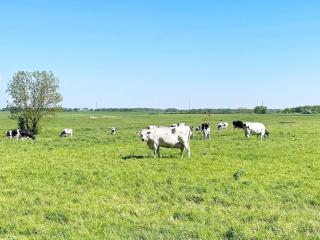 Holiday home KATTARP - - 6