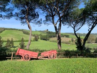 Podere la Vigna - Piscina e barbecue - Granaiolo - 5