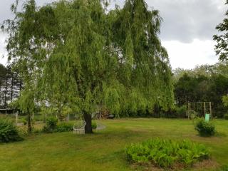 Gîte Glycines & Nature, proche Beauval et Châteaux - Châtillon-sur-Cher - 3