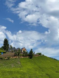 sitiela bungalov kir evi - Çamlıhemşin - 3