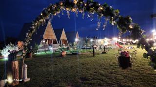 olive garden farm - Ulcinj - 0