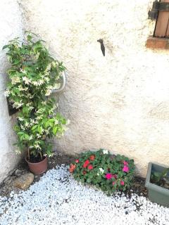 Proche plages Juan les pins petit studio dans villa - Antibes - 8