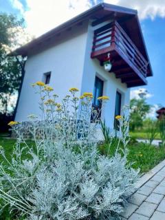 Pensiunea Agroturistica Casa Tarta - - 1