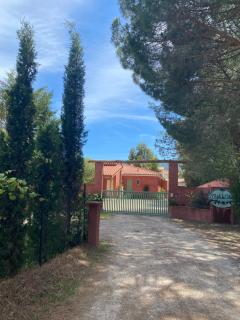 Chambres d'hôtes l'Olivette des Albères - Saint-André - 6