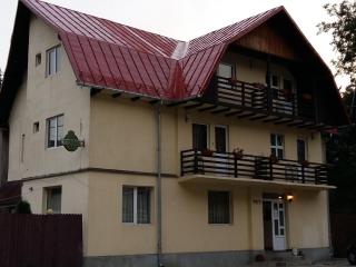 Vila Casa Ta - Sinaia - 0