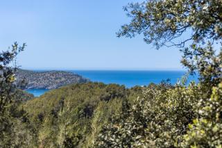 Villa Rústica s'Oliveret - Sóller - 9