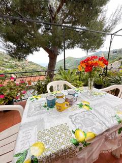 SANREMO Mare e Relax - Affittasi "Casa Illiade" con parcheggio libero, terrazza e Wi-Fi - Sanremo - 9