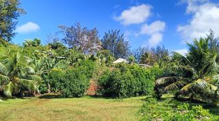 Fare NATIHERE Huahine 1 - Haapu - 5