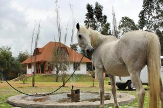 Casa Ecológica Al Pie Del Volcán - Otavalo - 0