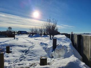 Vonarland hús með einu svefnherbergi - 7