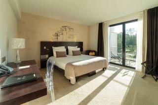 Best Western Plus Villa Saint Antoine Hotel & Spa - Clisson - 8
