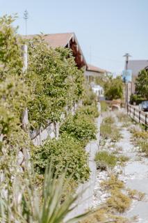 Ferienwohnungen Maria Maier - 1