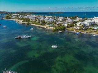 Palm View Condo - Baie Nettle - 6