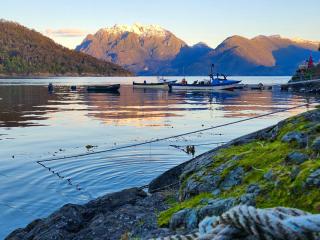 Hostal Isla Magdalena -  - 9