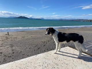 Nevada Hotel & Spa - 7