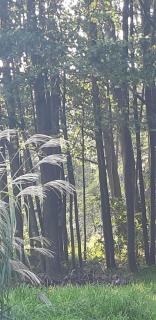 Eko Panorama Okolice Nałęczów -  - 3