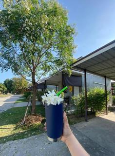 พิเศษรีสอร์ท อุตรดิตถ์ Piset Resort - - 3