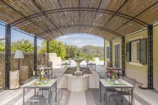 Tenuta Olive Alive - 7