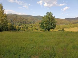 Folwark Noclegowy w Nowej Morawie - Nowa Morawa - 4