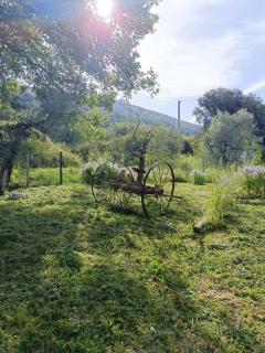 Casaletto in Sabina - - 7
