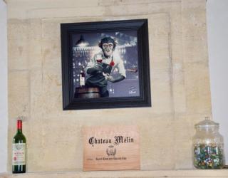 Maison au coeur du vignoble - Libourne - 3